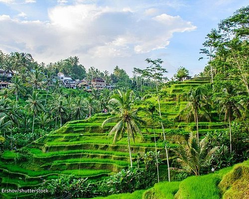 Best Things to Do in Bali  Unique Tours & Activities - Indonesia