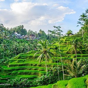 smile bali tour