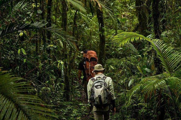 tangkoko tour