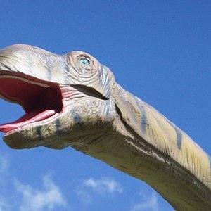 Dino Park at Blue River Resort & Hot Springs (Rincon de La Vieja) - All You Need to Know BEFORE You Go Dino Park at Blue River Resort & Hot Springs (Rincon de La Vieja) - All You Need to Know BEFORE You Go