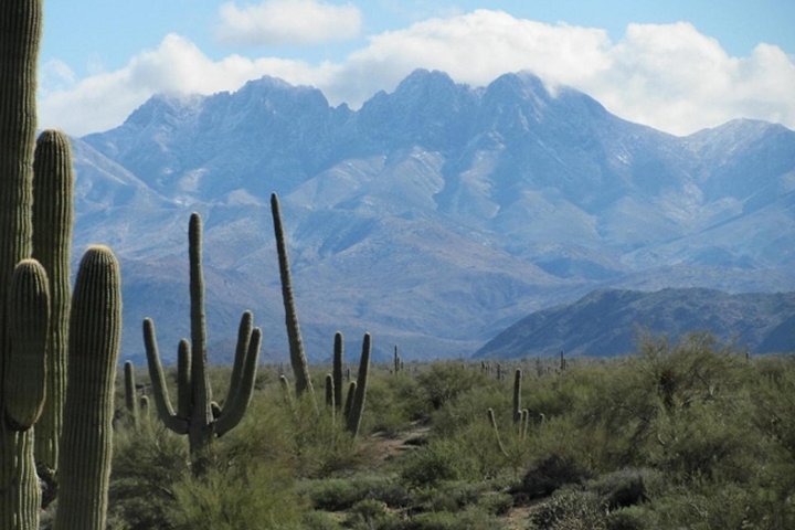 2024 (Scottsdale) Four Peak Amethyst Mine Tour