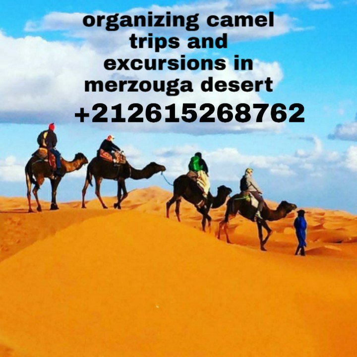 SAHARA NOMAD CAMP - Prices & Specialty B&B Reviews (Merzouga, Morocco)