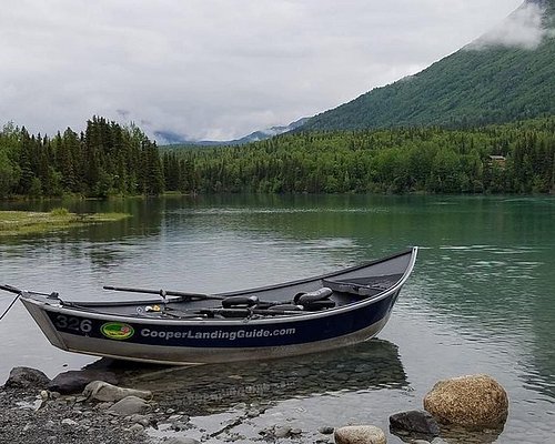 best shore excursions alaska