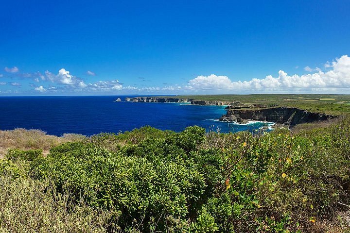 2024 Sightseeing Tour : Sugar cane and rum