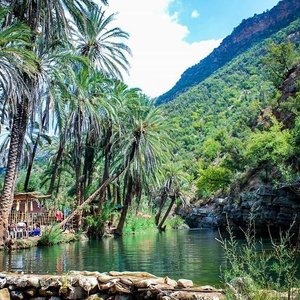 Tripadvisor, Agadir ou taghazout para excursão ao Paradise Valley + café  da manhã com argan: experiência oferecida por Agadir Attractions