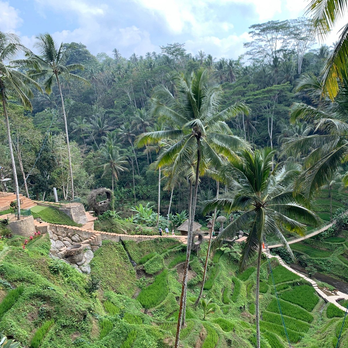 Tour The Bali (Ubud) - All You Need to Know BEFORE You Go