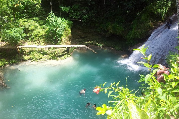 Tripadvisor Falmouth Dunns River Falls E Excursão Blue Hole Fornecido Pela Island Transfer 2599