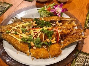 Food