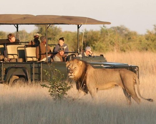 THE 10 BEST Hwange National Park Safaris (Updated 2024)