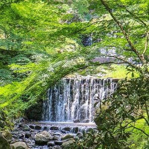 21年 養老天命反転地 行く前に 見どころをチェック トリップアドバイザー