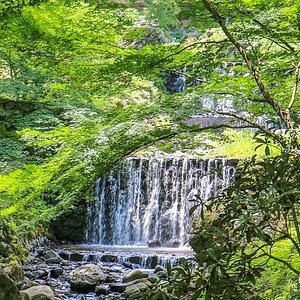 21年 養老天命反転地 行く前に 見どころをチェック トリップアドバイザー 21年 養老天命反転地 行く前に 見どころをチェック トリップアドバイザー