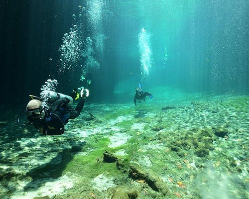 Agua Clara Diving Tulum - All You Need to Know BEFORE You Go
