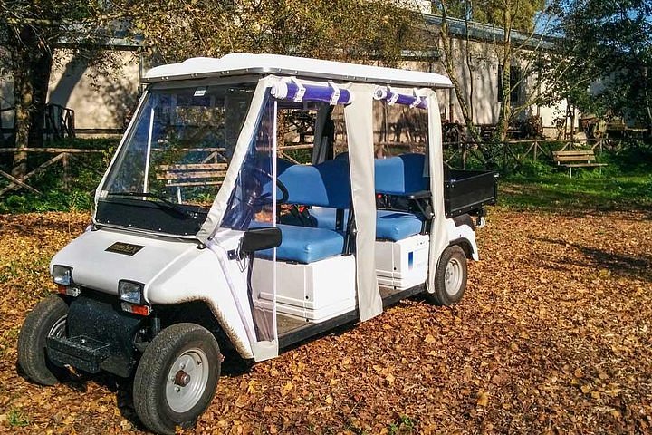 Rome: Appian Way Golf Cart Charter with Driver