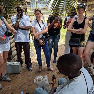 tourism in ivory coast