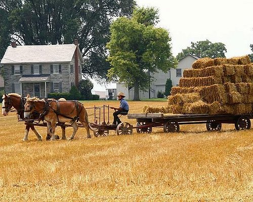 TOP 10 BEST Amish Country in Philadelphia, PA - March 2024 - Yelp