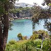 Things To Do in Clovelly Outdoor Gym, Restaurants in Clovelly Outdoor Gym