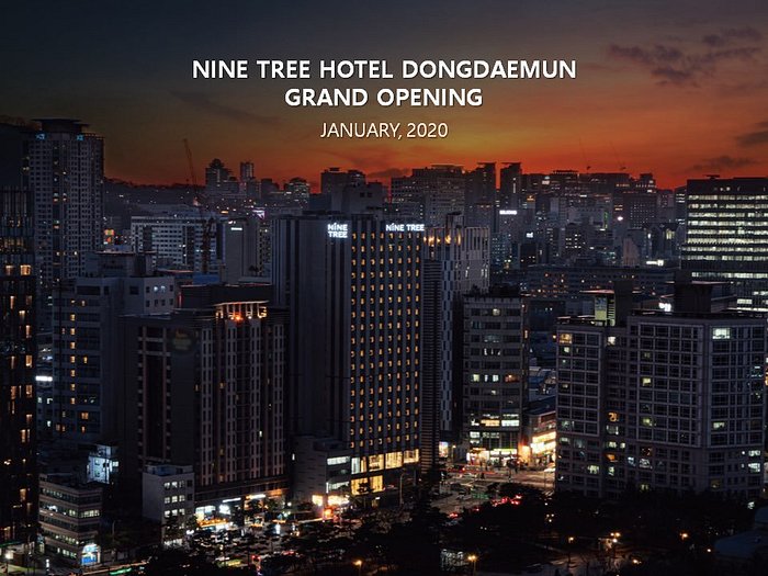 나인트리 호텔 동대문 (Nine Tree Hotel Dongdaemun, 서울) - 호텔 리뷰 & 가격 비교