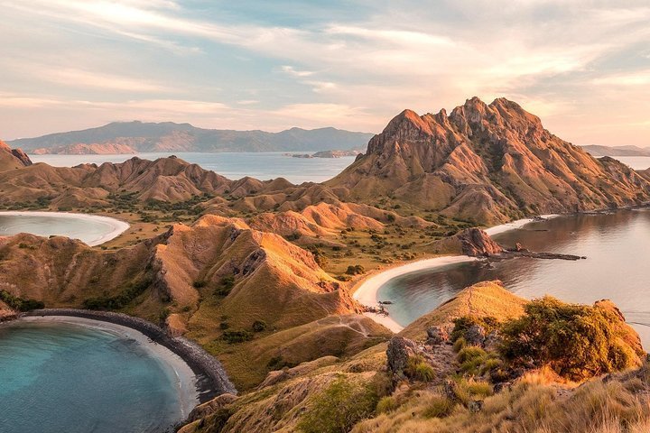 Finally met the majestic yet terrifying Komodo Dragons! Indonesia