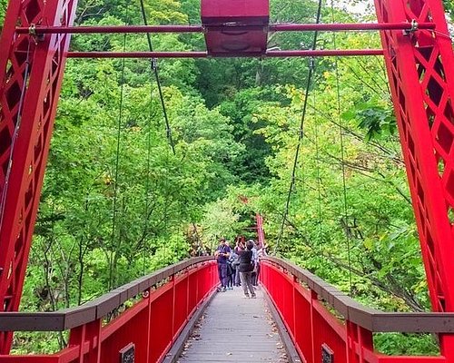 札幌のプライベートツアー 札幌の 10 件のプライベートツアーをチェックする トリップアドバイザー