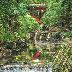 21年 二子玉川公園 行く前に 見どころをチェック トリップアドバイザー