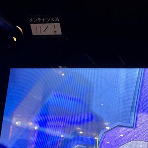 21年 セグウェイベース 行く前に 見どころをチェック トリップアドバイザー 21年 セグウェイベース 行く前に 見どころをチェック トリップアドバイザー
