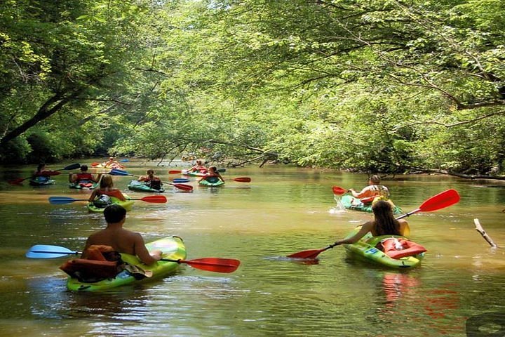 2024 Phu Quoc Northern Island And Kayaking In Cua Can River