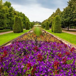 The Regent's Park Opening Hours