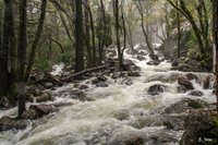 Bridalveil Falls Parc National De Yosemite 21 Ce Qu Il Faut Savoir Pour Votre Visite Tripadvisor