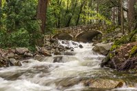Bridalveil Falls Parc National De Yosemite 21 Ce Qu Il Faut Savoir Pour Votre Visite Tripadvisor