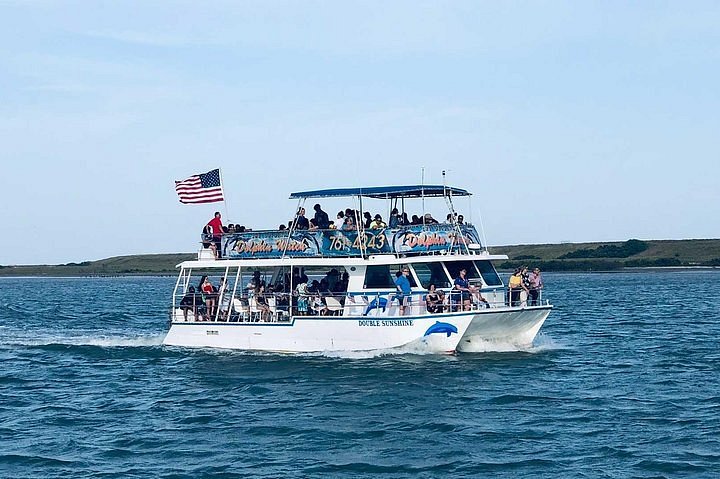 dolphin watch cruise south padre island