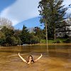 Giulianemeye