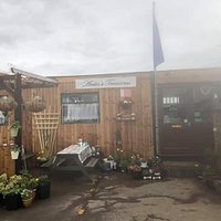 Welcome to the Tearooms