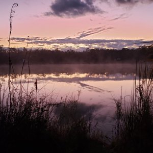 Burns Lake Campground - Ochopee, FL