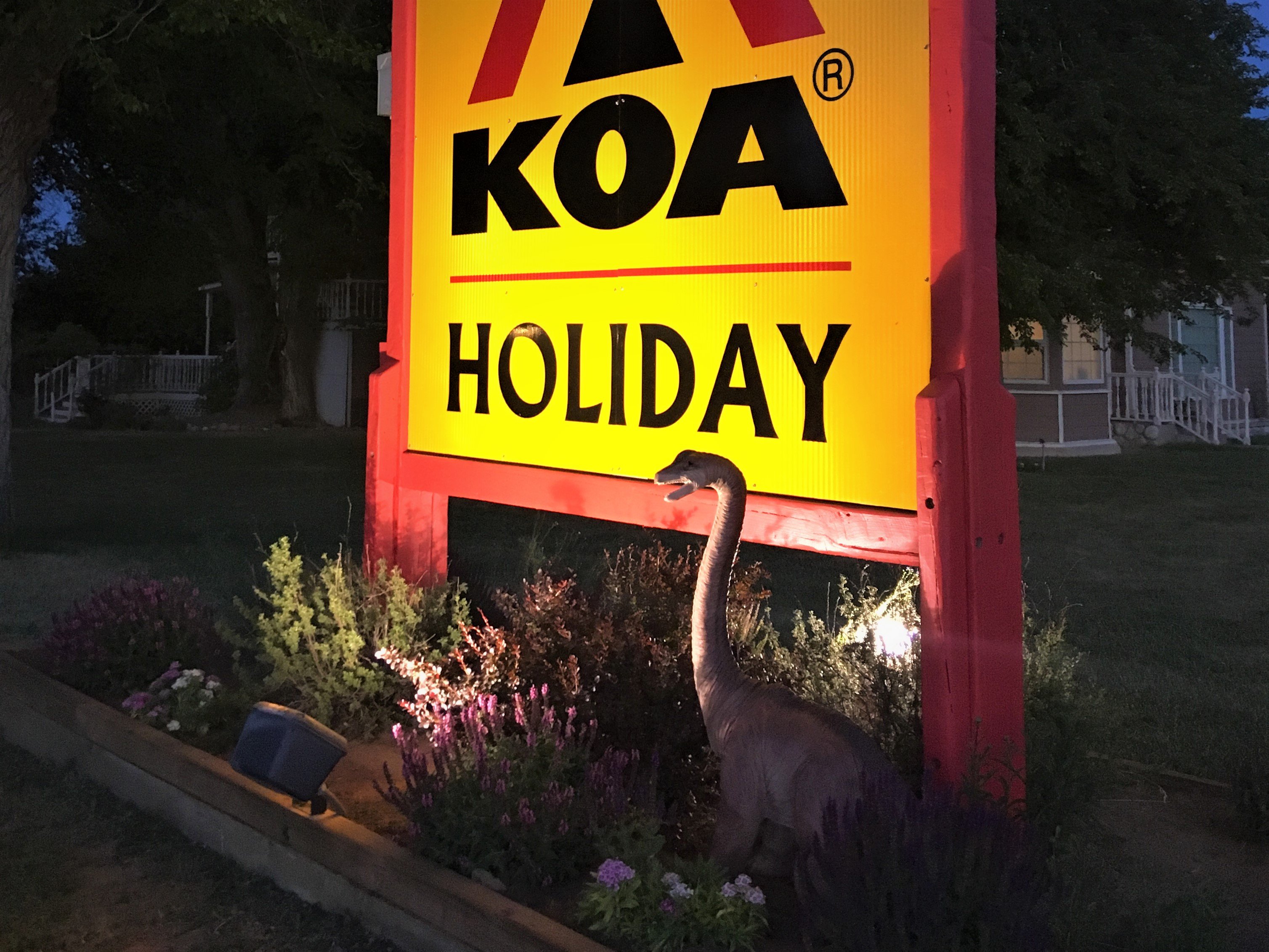 koa dinosaurland