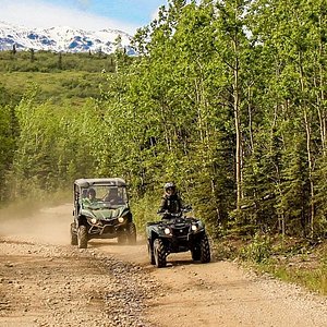 Denali National Park: Best things to see and do
