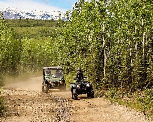 denali park tours from anchorage