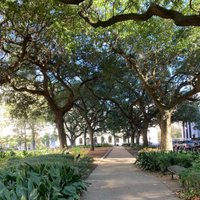 Lafayette Square (New Orleans) - All You Need to Know BEFORE You Go