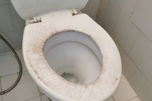 Khách du lịch