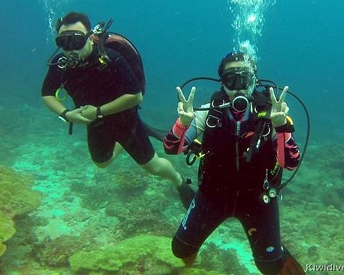 Scuba Porn Captions - THE 5 BEST Chalong Scuba Diving & Snorkeling (Updated 2023)