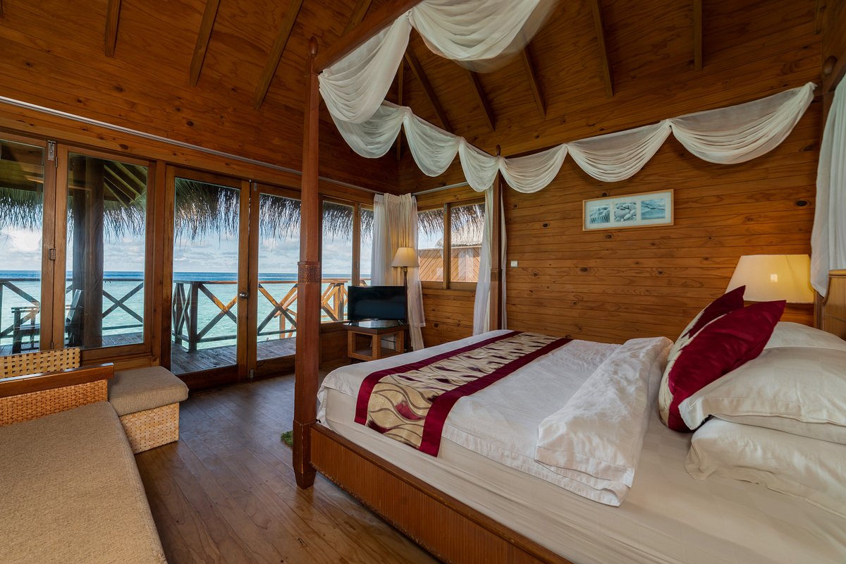 Island resort 3. Отель на Мальдивах Fihalhohi. Fihalhohi Island Resort 3*. Fihalhohi 4*. Fihalhohi Island 4 Мальдивы.