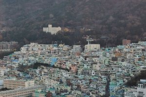 旅行者の写真