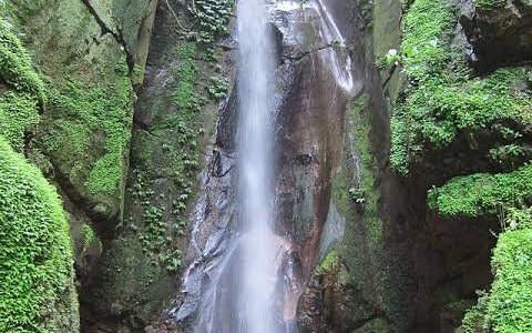 Mwalo tours will take you up to the place where you can enjoy your holiday and see different attraction in Tanzania