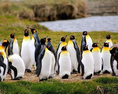 patagonia chilena tour