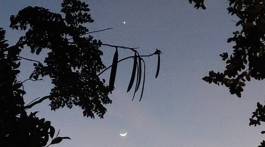 Chom Dao and Moon 🌙 
