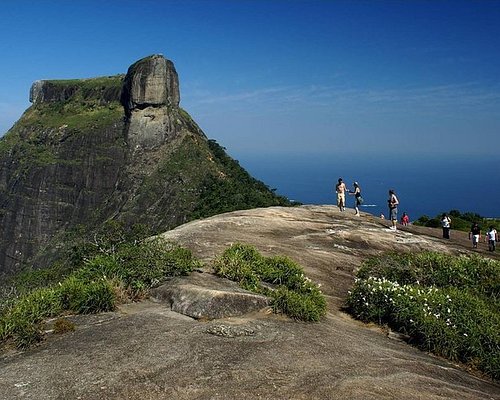 THE 10 BEST Brazil Tours & Excursions for 2024 (with Prices)