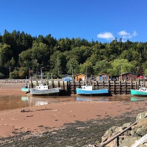 File:Wpdms shdrlfi020l bay of fundy.jpg - Wikipedia