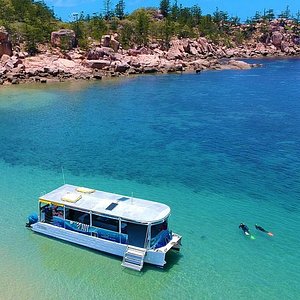 wildlife park tour magnetic island