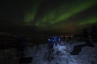 2024 Gita verso l'aurora boreale fornito da Arctic Explorers Tromso