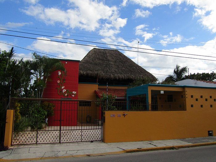 LOS ALCATRACES (AU$79): 2023 Prices & Reviews (Cozumel, Mexico) - Photos of  Guesthouse - Tripadvisor