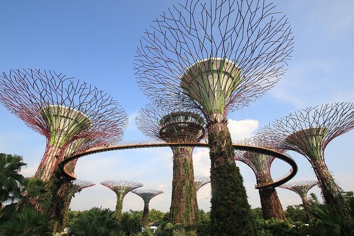 THE 10 BEST Outdoor Activities in Singapore (Updated 2024)